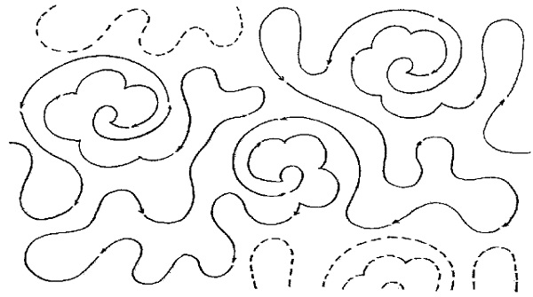 Floral  Meander